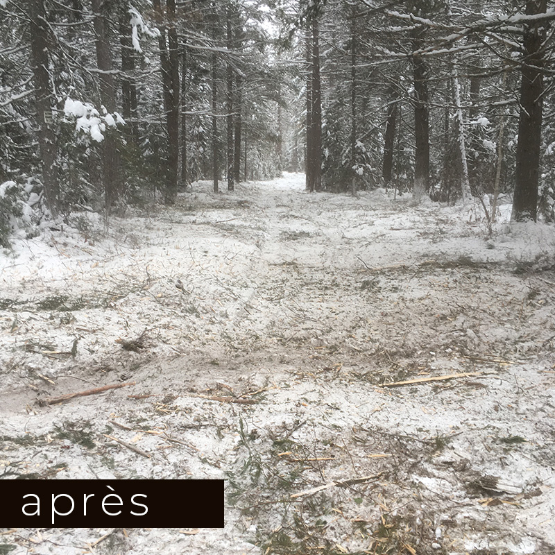 Broyage forestier - sentier motoneige 2